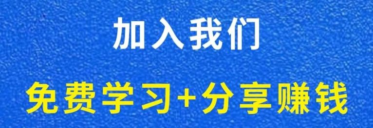 白菜价解锁20000+N个赚钱机会，加入轻创终点站会员，全站资源免费学习。-小利资料站