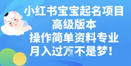 小红书宝宝起名项目高级版本，操作简单，资料专业，月入过W-小利资料站