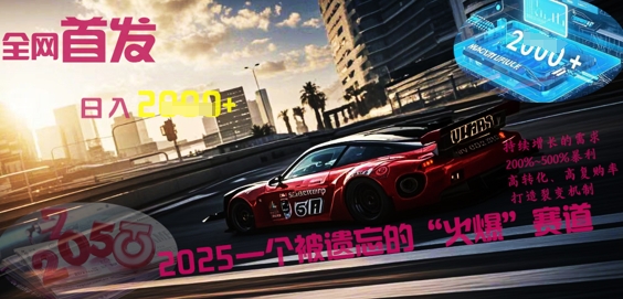 全网首发：2025一个被遗忘的“火爆”赛道轻松日入多张-小利资料站