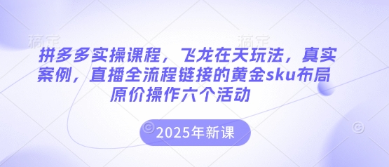 拼多多实操课程，飞龙在天玩法，真实案例，直播全流程链接的黄金sku布局原价操作六个活动-小利资料站