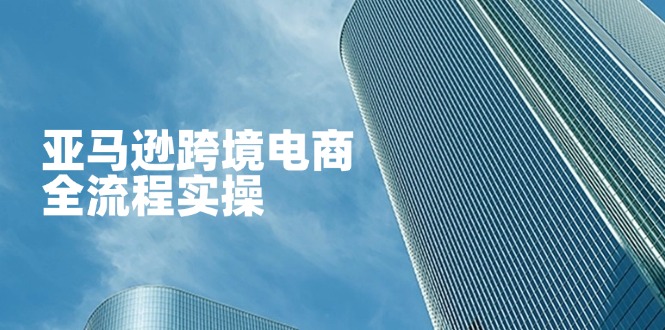 （14252期）亚马逊跨境电商全流程实操，教你从零开始，掌握店铺运营与广告技巧-小利资料站
