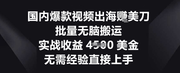国内爆款视频出海挣美刀，批量无脑搬运，实战收益4.5k，无需经验直接上手-小利资料站