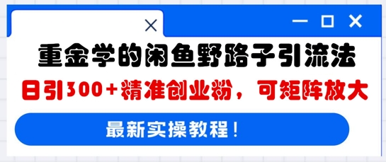 重金学的闲鱼野路子引流法，日引300+精准创业粉，可矩阵放大-小利资料站