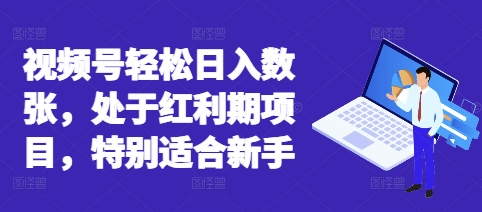 视频号轻松日入数张，处于红利期项目，特别适合新手-小利资料站