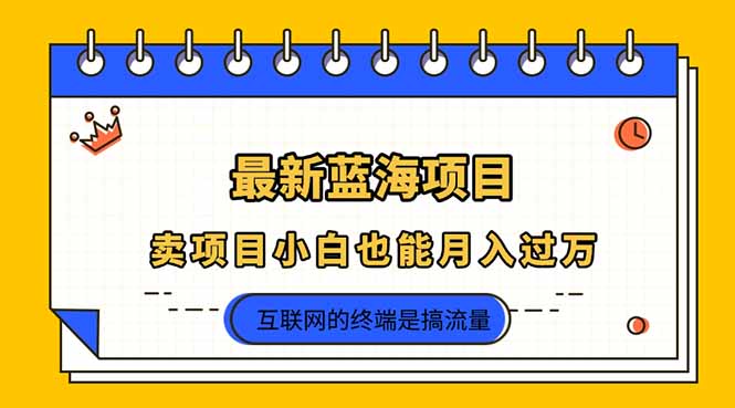 （14289期）2025年最新蓝海项目，卖项目小白也能月入过万-小利资料站