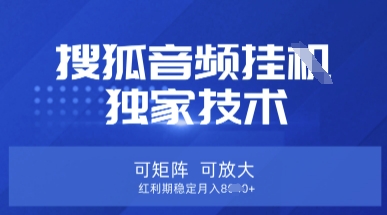 【搜狐音频挂G】独家技术，可矩阵可放大，红利期稳定月入8k【揭秘】-小利资料站