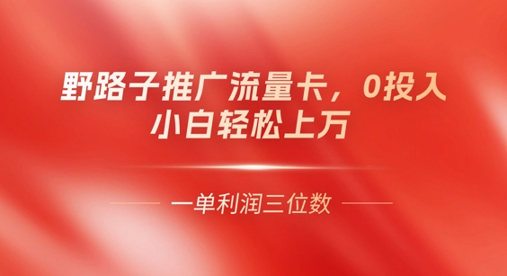 0门槛推广流量卡，一单收益上百，0投入，小白月入过W-小利资料站