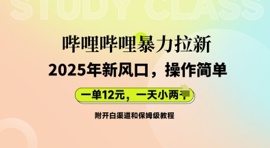 哔哩哔哩暴力拉新：2025年新风口，一单12元，一天数张(附开白渠道和保姆级教程)-小利资料站
