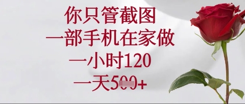 你只管截图，一部手机在家操作，一小时120.一天5张【揭秘】-小利资料站