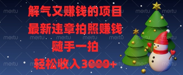 解气又挣钱的项目，最新违章拍照挣钱，随手一拍，轻松收入数张【揭秘】-小利资料站